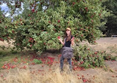 Foraging for Apples San Diego 1